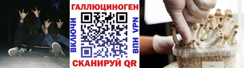 Псилоцибиновые грибы ЛСД  что такое   Ельня 